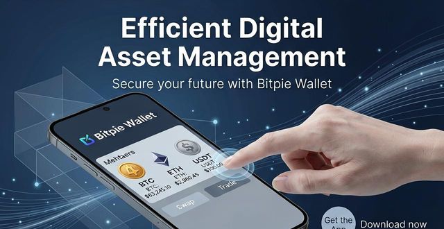 Bitpie钱包下载指南：安全保管你的数字资产